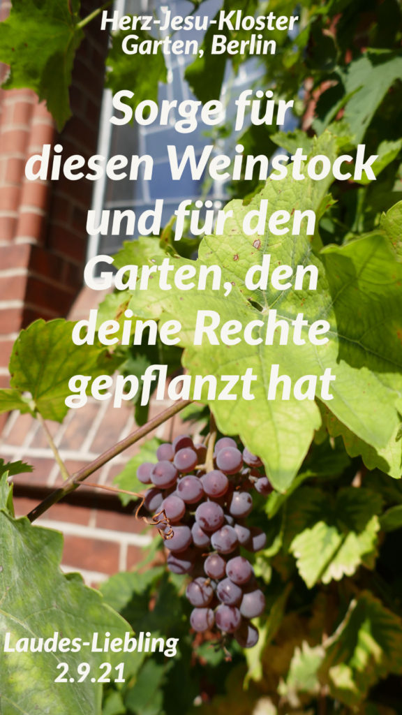 Weinstock